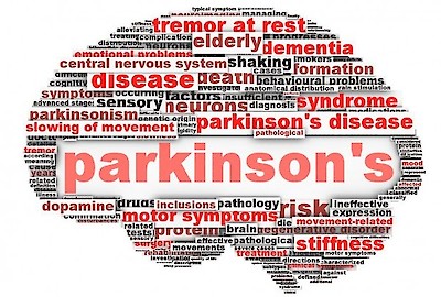 Parkinson's Disease, Fresh River Healthcare, Neuro-behavioral program, iCare Health Network, Support Group