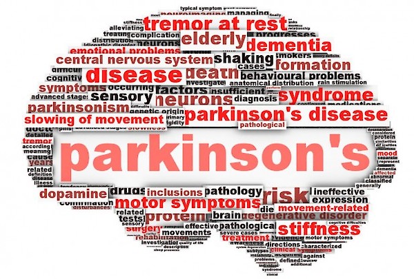 Parkinson's Disease, Fresh River Healthcare, Neuro-behavioral program, iCare Health Network, Support Group